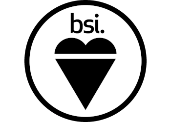 BSI Logo